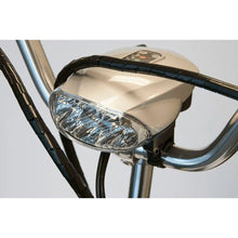 Load image into Gallery viewer, EWheels EW-29 500-750W 3-Wheel Electric Trike - Ebikecentric